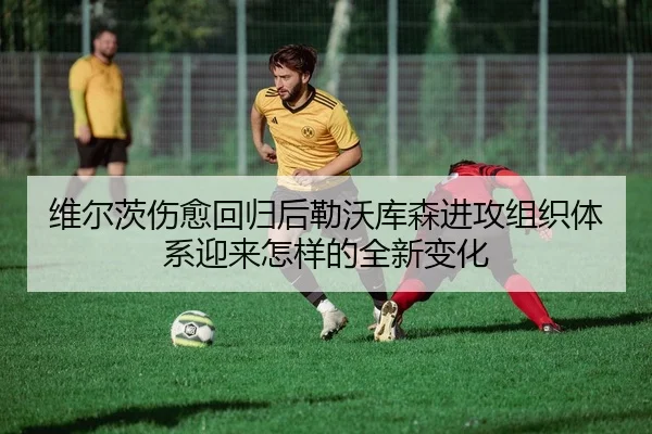 维尔茨伤愈回归后勒沃库森进攻组织体系迎来怎样的全新变化