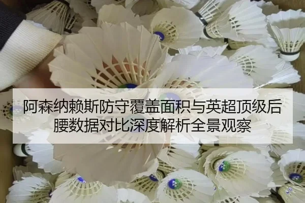 阿森纳赖斯防守覆盖面积与英超顶级后腰数据对比深度解析全景观察（cc7c7.app）